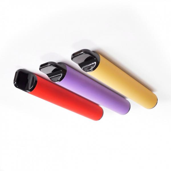 Factory Wholesale Price Vape Pen Kit 300 Puffs E Cigarette empty Disposable vape Pods System #2 image